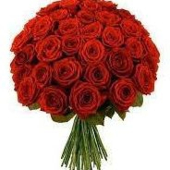 Meet your Posher, Ranna - Picture 1 of 1